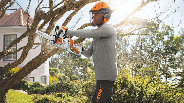STIHL MS 151 - imagefoto