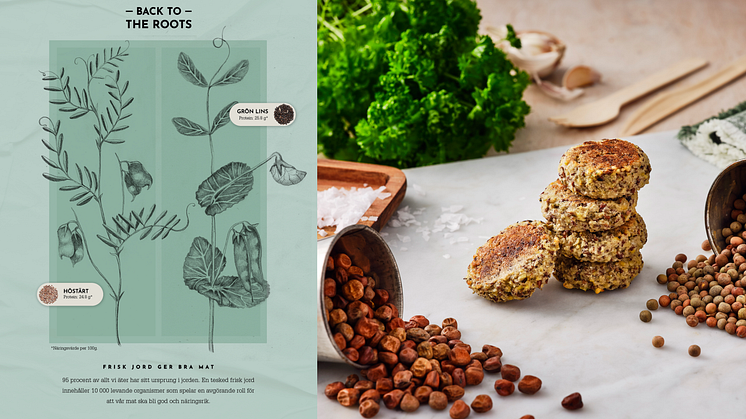 New food concept will break down misconceptions about plant-based foods - using traditional crops to create the food of the future