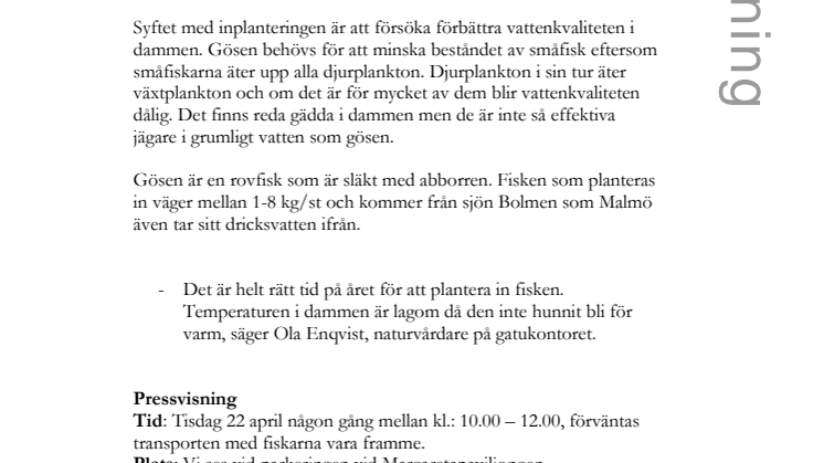 Pressinbjudan: Nu blir det (g)ös i Pildammarna!