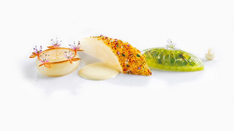 Tävlingsrätter Sverige Bocuse d'Or 2023
