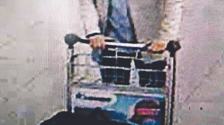 Högaktuell bok om terrorismens utveckling 