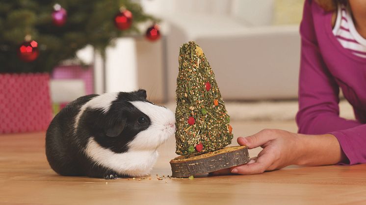 Fressnapf Österreich: Tiere sind kein Weihnachtsgeschenk und brauchen zu Silvester Ruhe