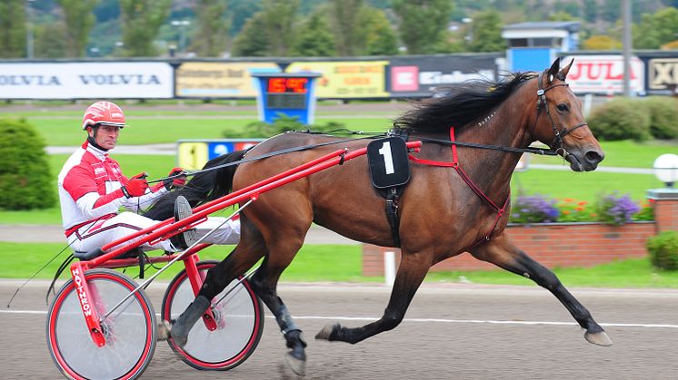 Trippeltrav i Halmstad med SprinterMästaren och V75