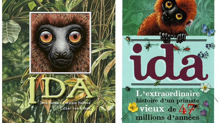 Prestisjepris til boka om IDA