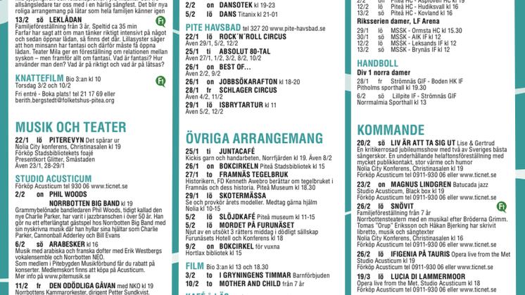 Det händer i Piteå 22 jan-13 feb 2011