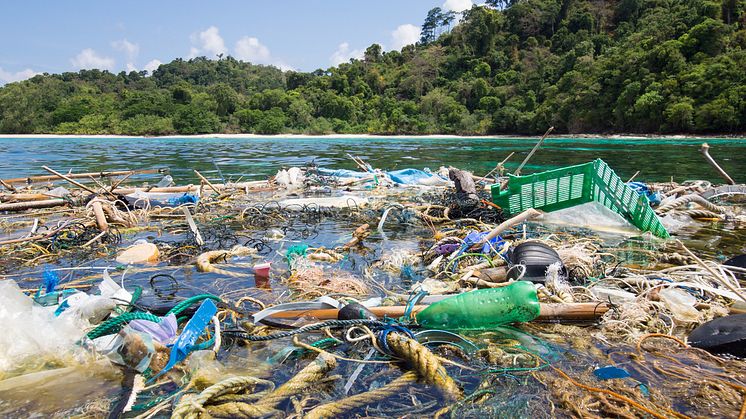 The largest source of plastic ingestion is drinking water, says new WWF report on microplastics