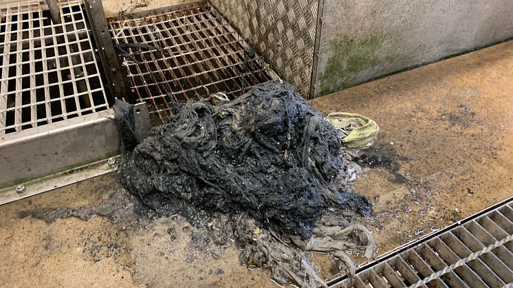 Skräp från inkommande galler på reningsverket i Torekov