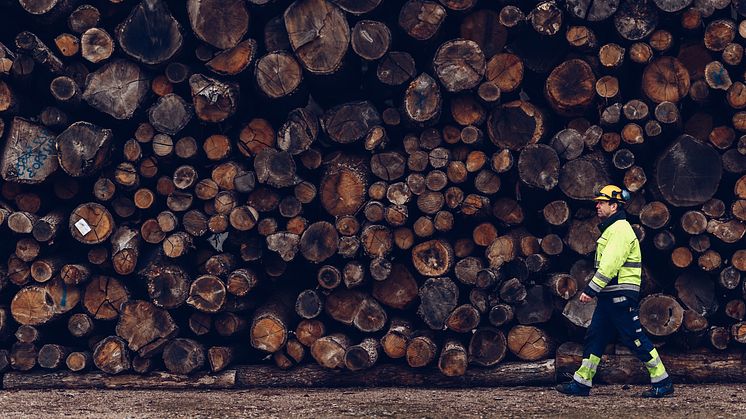 På Växjö Energi produceras värme, el och kyla av restprodukter från skogen som grenar, bark och spån.