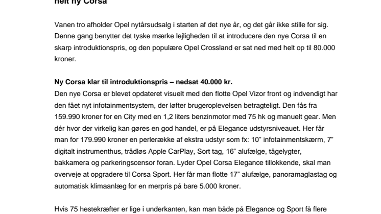 PM_opel_nytårskur.pdf