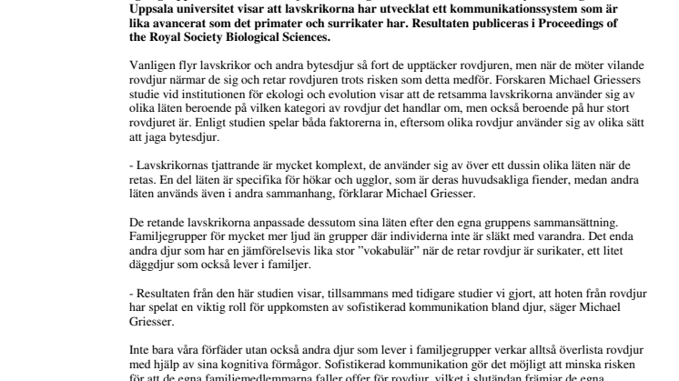 Lavskrikor retas med rovdjur på avancerat språk