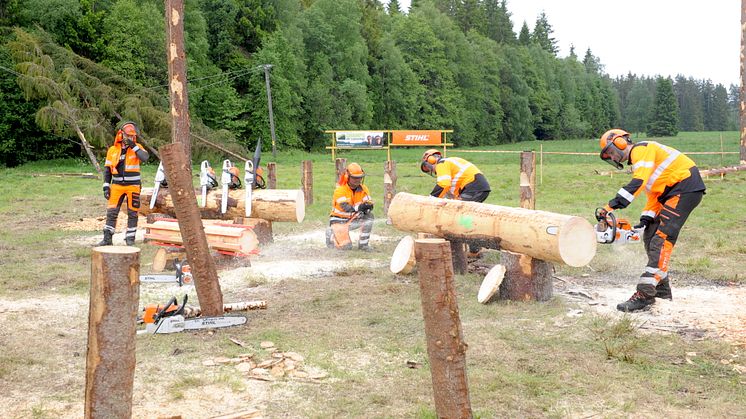 Champs of Logging
