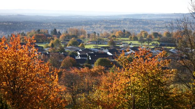 miljö