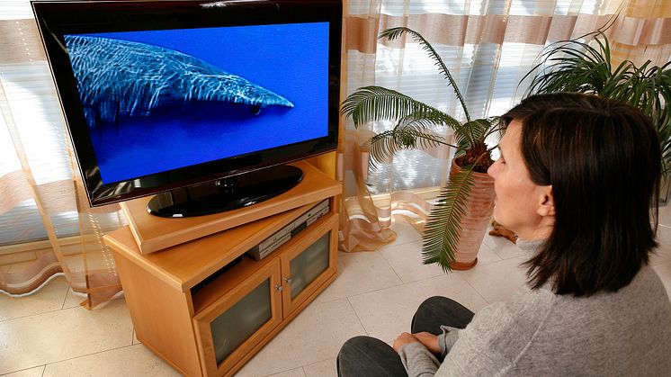 Antennenfernsehen liefert bald besseres Bild: DVB-T2 steht schon in den Startlöchern