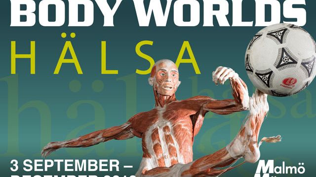 Varmt välkommen på pressvisning av utställningen Body Worlds Hälsa!