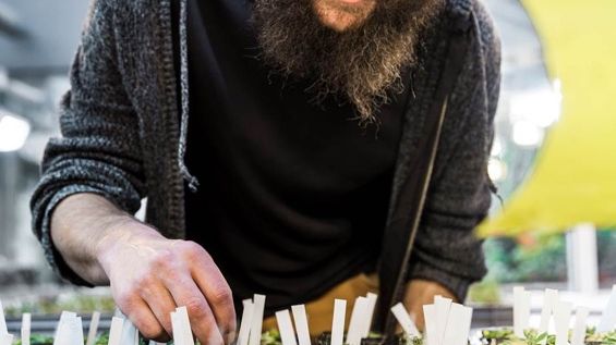 Elevers forskning får kungligt stöd