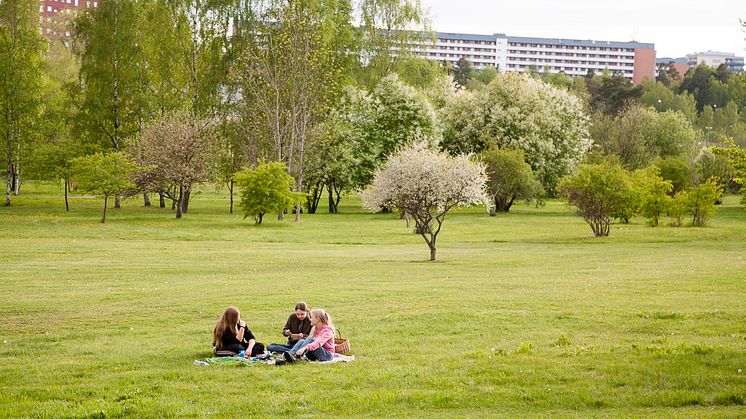 Bostadsnära landskapspark (Järva DiscgolfPark)