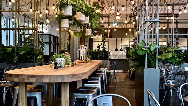 Bistro Sabis Råsunda är belägen på Garvis Carlssons Gata i Solna och beskrivs som en oas med puls. Foto: Carin Stenbeck