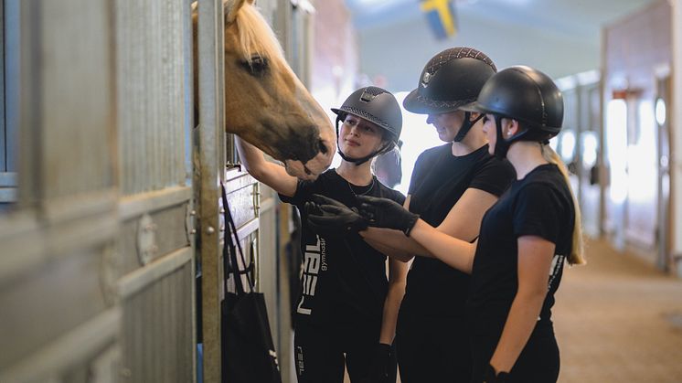 Elever på Realgymnasiet medverkar i forskningsprojektets del 1 av 3 om bett och bettlöst vid ridning. 