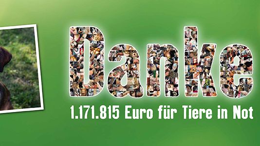1,2 Millionen Euro! Fressnapf-Kunden setzen erneut ein eindrucksvolles Statement für den Tierschutz in Europa
