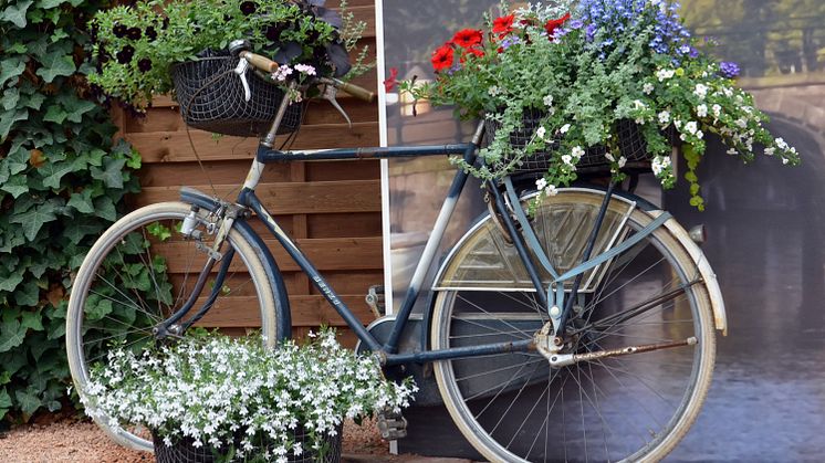 Blomstrande cykel