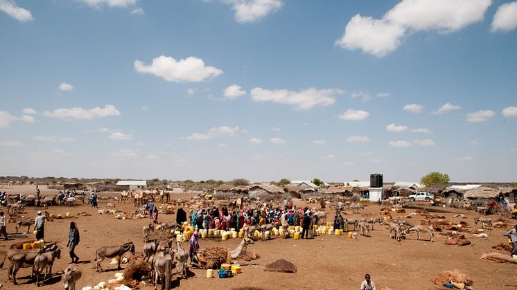 Barnen på Afrikas horn svälter