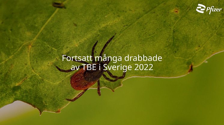 Fortsatt många drabbade av TBE i Sverige 2022.