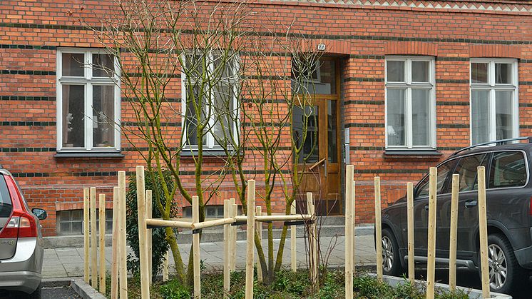 Foto Lars Bendroth