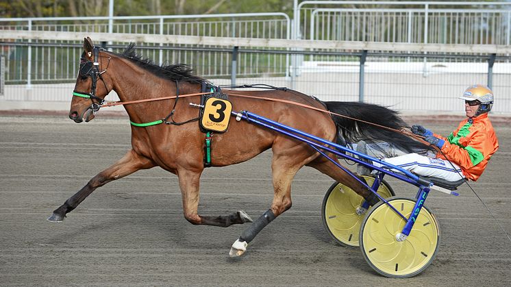Billie de Montfort får den sista rosa biljetter till Elitloppet 2020. Foto: TR Bild