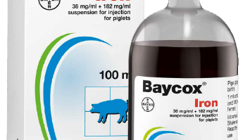 Baycox®Iron – en ny kombi-injektion mot järnbrist och koccidios hos smågris