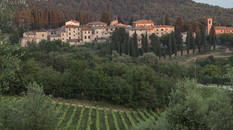 Byn Fonterutoli