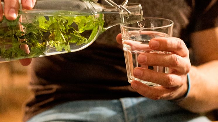 Bluewater To Showcase New Generation Water Purifiers At 2016 International Home + Housewares Show, Chicago