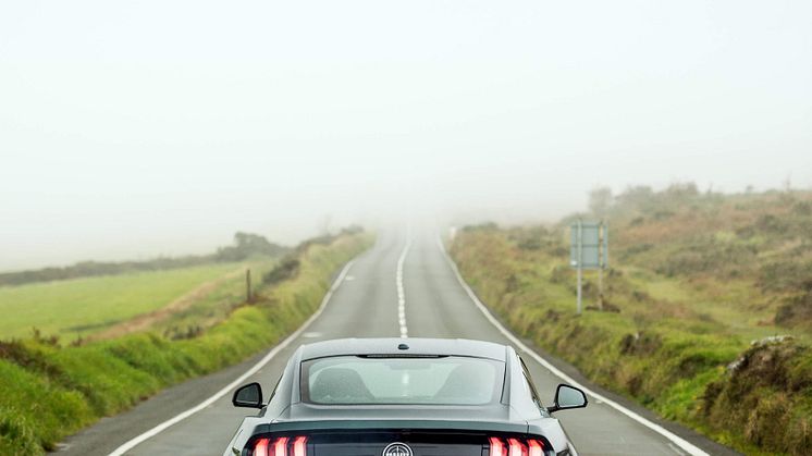 ALP_4785