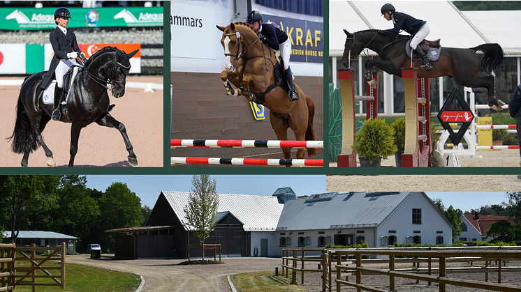 Topphingstar i dressyr och hoppning visas på Borebackar Gård lördag 15 april