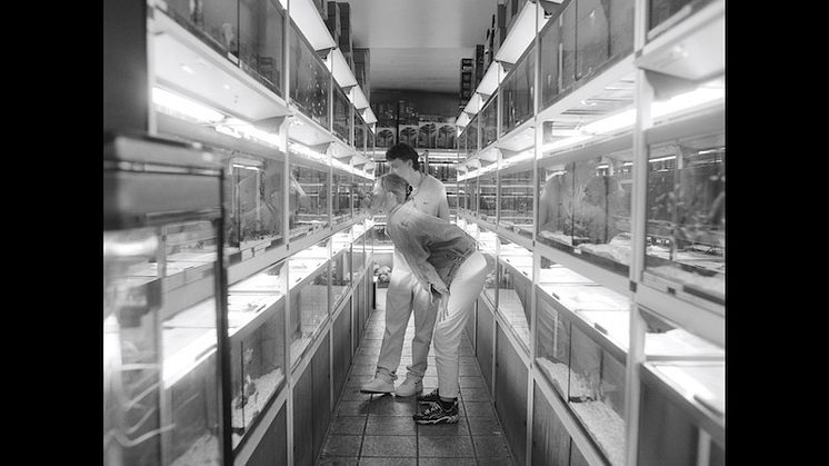 Suede har släppt Autofiction: A Short Film, ett kreativt projekt och en visuell följeslagare till bandets kommande nionde studioalbum, Autofiction.