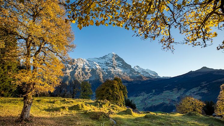 Eiger im Hintergrund.jpg