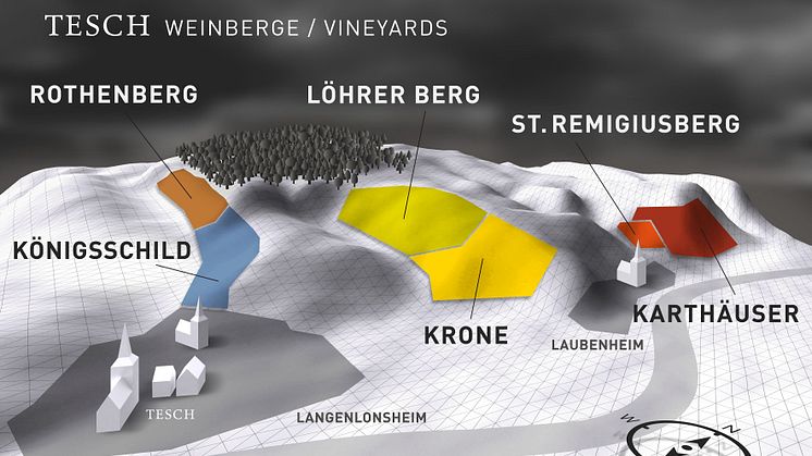 2020 Riesling Königsschild från Tesch - rik och kraftfull Riesling med toppbetyg