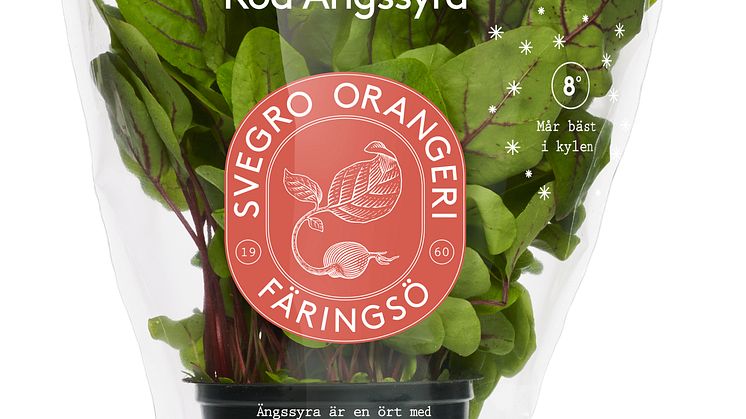 Svegro Vilda Smaker - ekologisk röd ängssyra