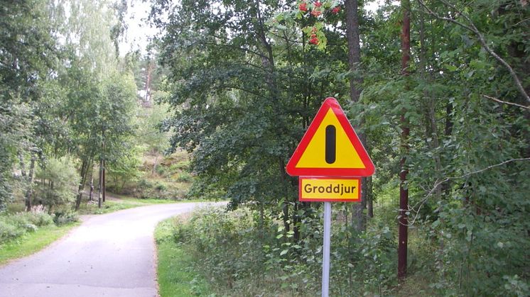 bild4