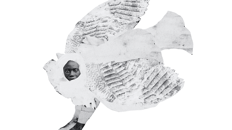 Frida Orupabo Untitled, 2020. Papperscollage med delade stift monterade på aluminium. Paper collage with split pins mounted on aluminium.  Courtesy konstnären/the artist & Galerie Nordenhake Stockholm/Berlin/Mexico City.