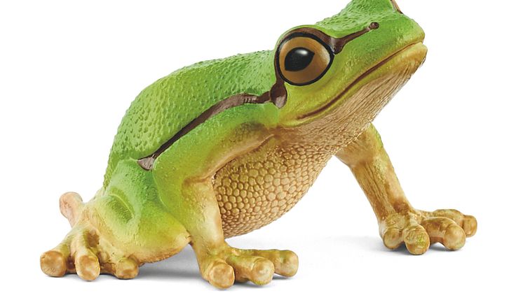 14882_Wild Life_European Tree Frog_(c)schleich®