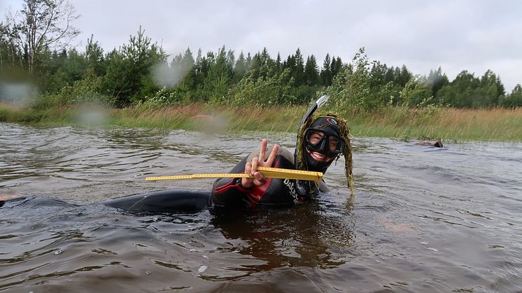 KvarkenFlada-Snorkling-ChristinaJönander-LstVästerbotten.JPG