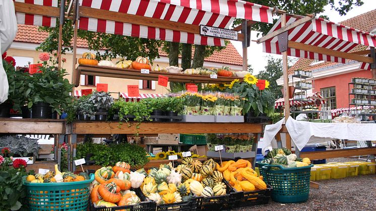 Skördefest på Katrinetorp 2 september!