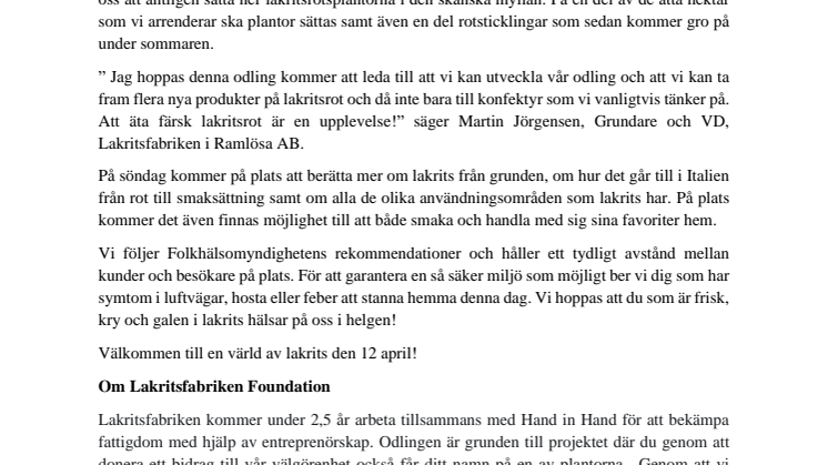 Norra Europas största lakritsrotsplantage växer 