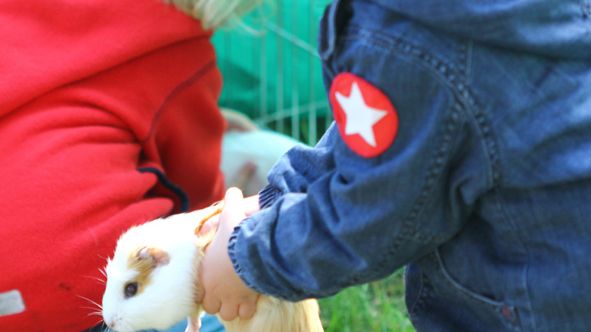 Tag der offenen Tür 2015