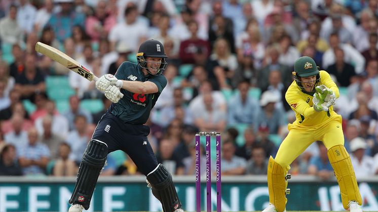 Eoin Morgan cuts the ball for four as Australia's Tim Paine looks on. (Image by Getty)
