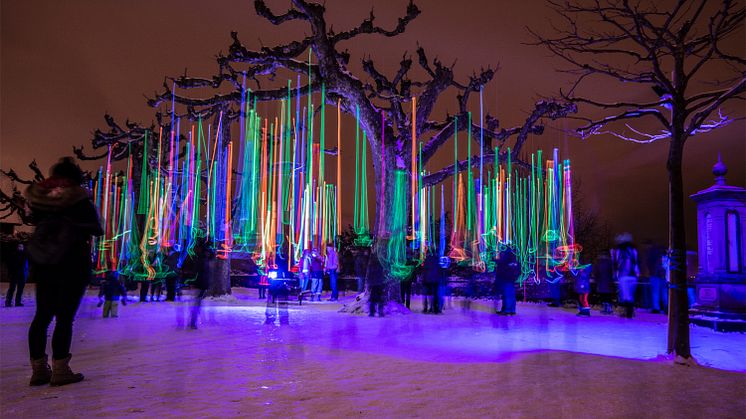 Morat-Murten, Lichtfestival (Fribourg Region)