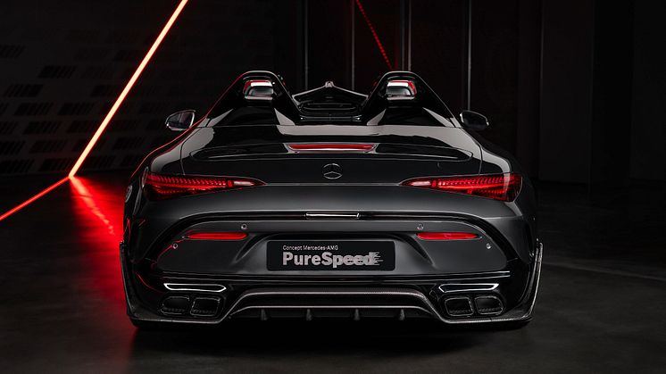 Concept Mercedes-AMG PureSpeed 
