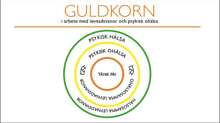 Guldkorn i arbetet med levnadsvanor och psykisk ohälsa – råd i sjukdomsförebyggande arbete