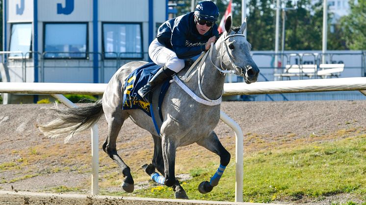 Hästarnas Mästare på Jägersro