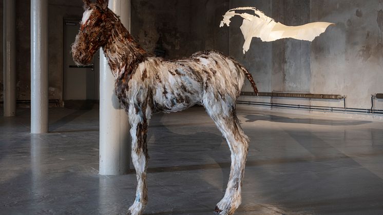 Installationsvy: Hästen, roboten och det omätbara ("Blanca"), Tove Kjellmark, 2022.